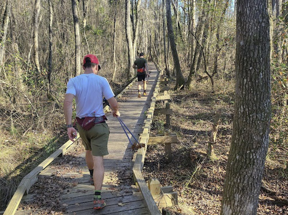 <p>Nathan Frantz (left) and Sean Clayton (right) run along a boardwalk on the Palmetto Trail. The duo ran the 350-mile trail in a record 10 days, 11 hours and 24 minutes over winter break.&nbsp;</p>