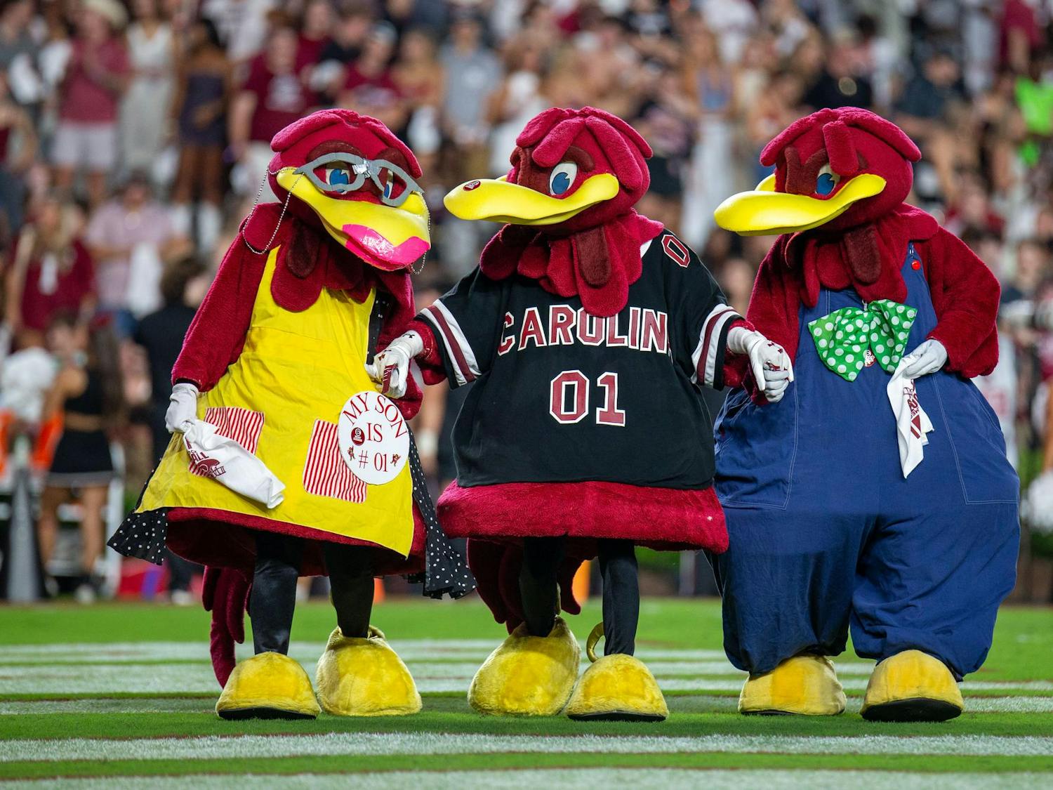 The University of South Carolina mascot, Cocky, holds hands with his parents as they walk across the endzone during South Carolina's game against Akron on Sept. 21, 2024 at Williams-Brice Stadium. The weekend of the Akron game coincided with parents weekend at the university.