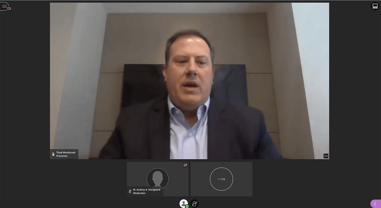 Thad Westbrook, chair of the presidential search committee for USC, addresses the faculty senate during its Wednesday meeting.