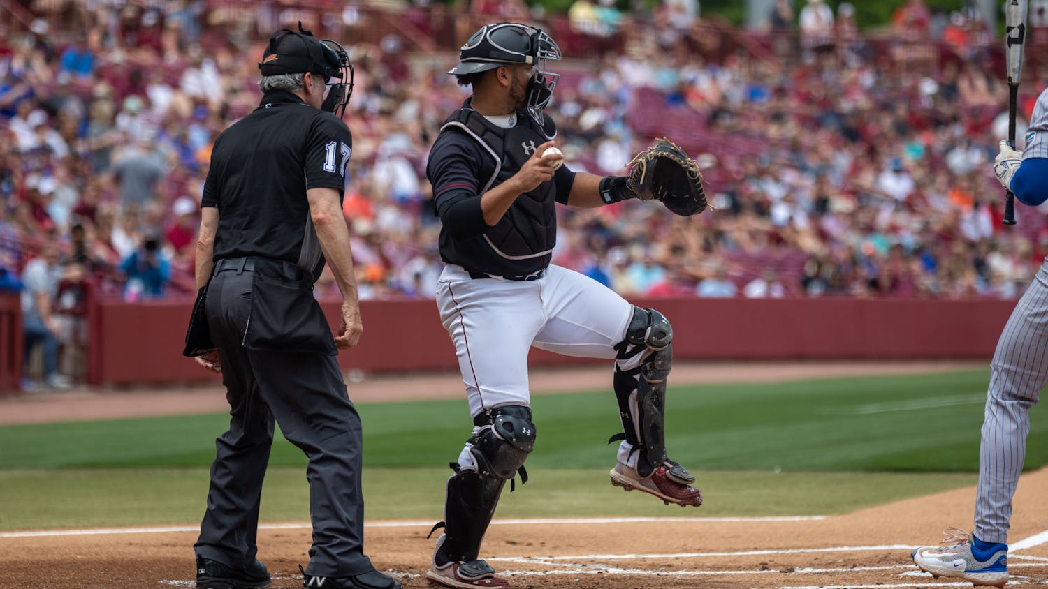 Senior catcher Jonathan French starts to throw the ball back to the pitcher during the South Carolina vs. Florida game at Founders Park on April 22, 2023. French caught the final two games of the series, reaching ten starts in his first season since transferring from Clemson.