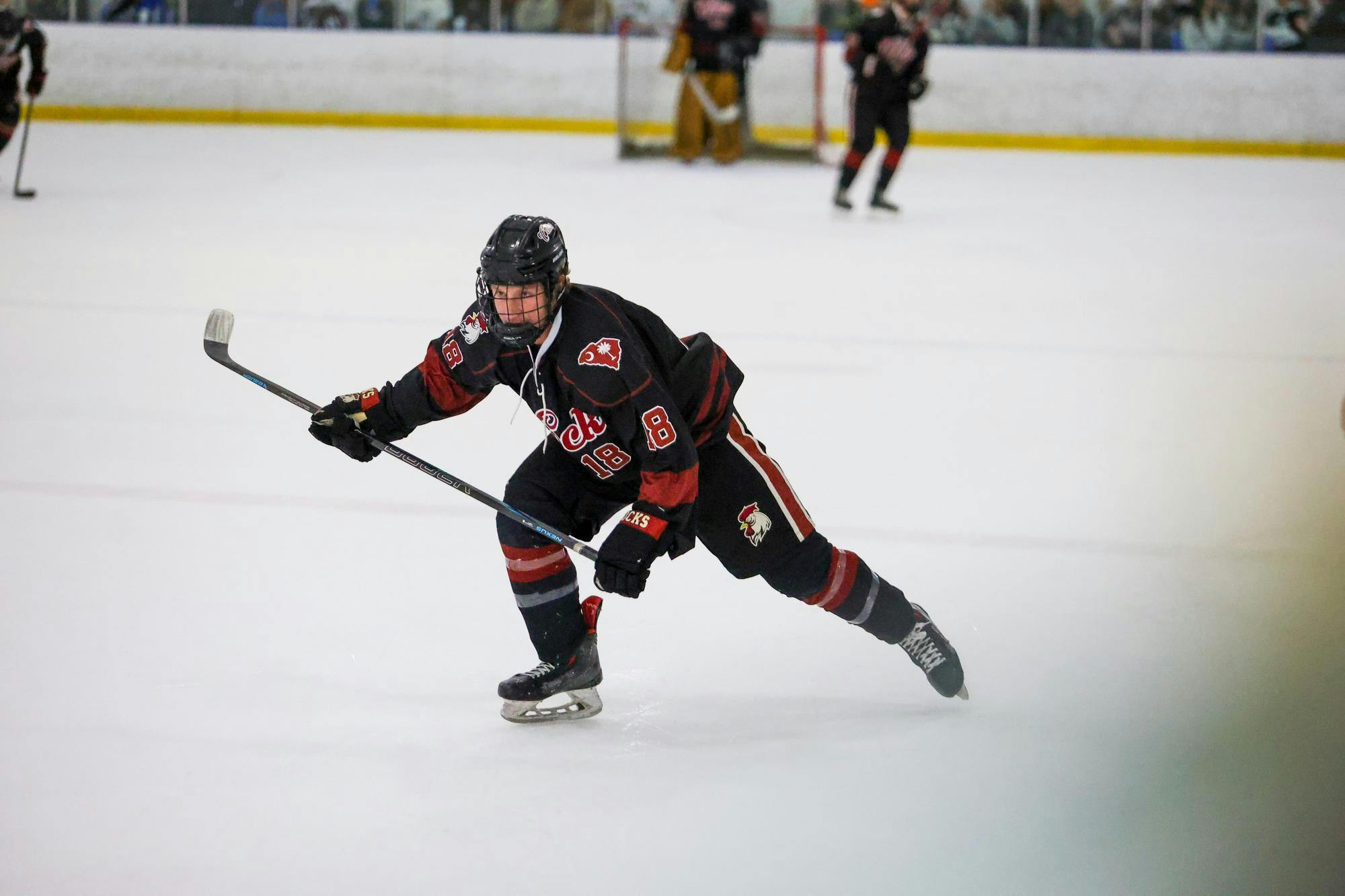 Center Jake Puskar makes a move for the puck during the game against Clemson on Oct. 17, 2025. Puskar is a 3X New Jersey hockey state champion.