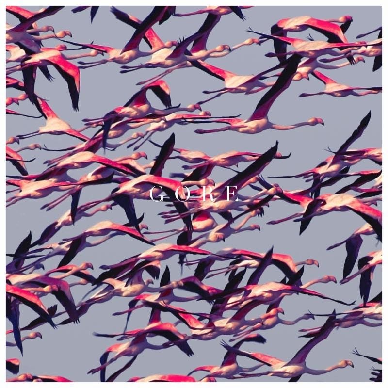 The eighth album from Deftones, "Gore"&nbsp;uses melodic vocals and heavy guitar riffs, further evolving this rock band's sound.