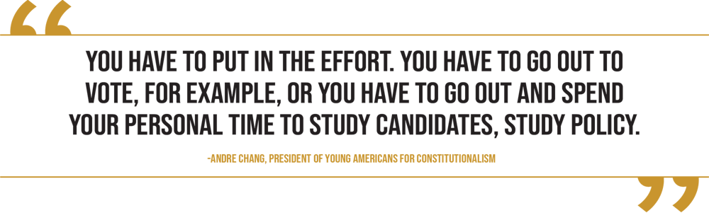 primary-voting