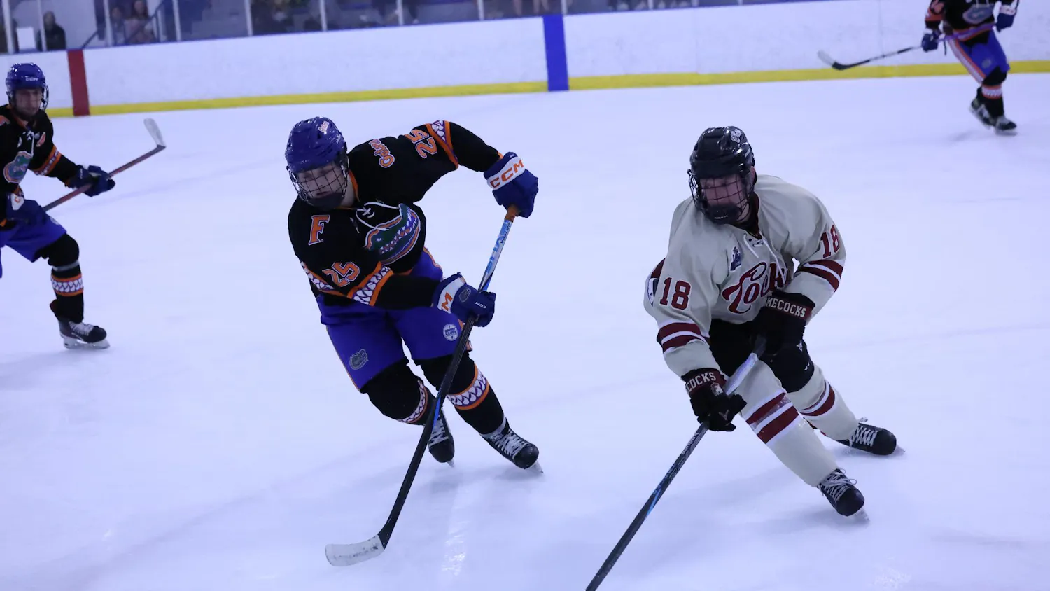 Junior center Carson Skove, a Gamecock club hockey player, races a Florida player for the puck on Sunday, Sept. 28, 2025, at Flight Adventure Park in Irmo, S.C.