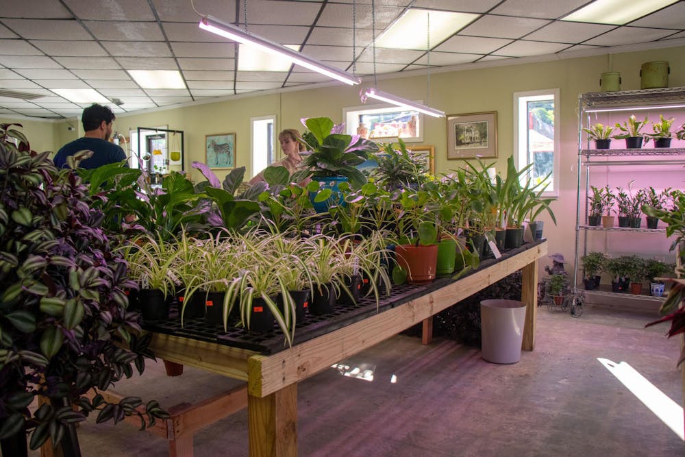 <p>Customers browse plant selection in Blossom Plants and Produce on Blossom Street on Aug. 19, 2024. Blossom Plants and Produce, which opened at the beginning of August, features local produce and houseplants. </p>