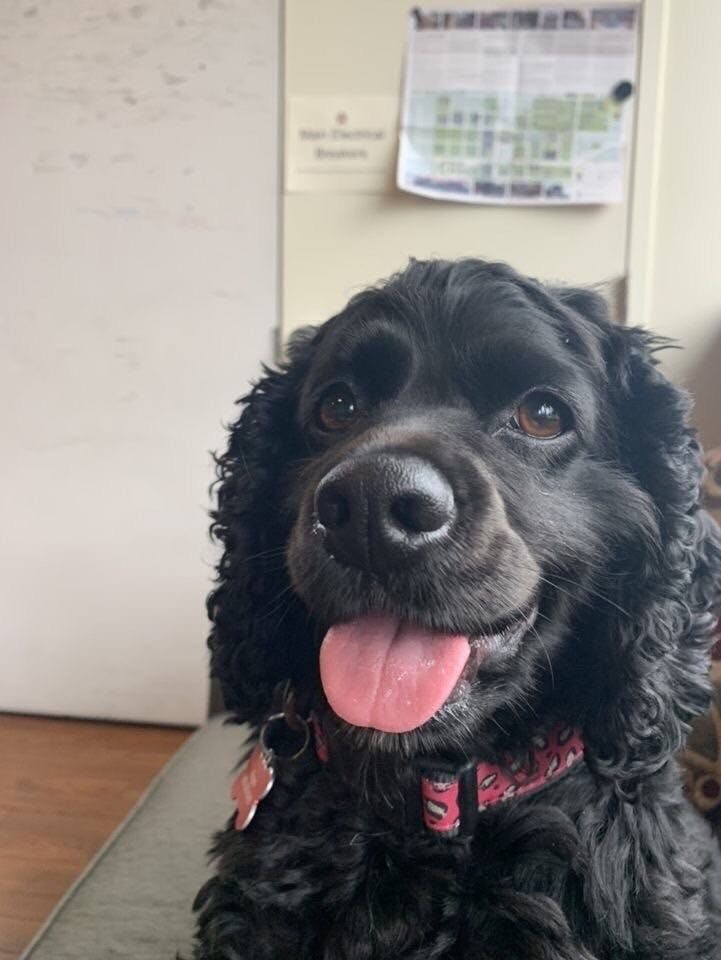 Poppins is the unofficial vice president of Carolina BCM.