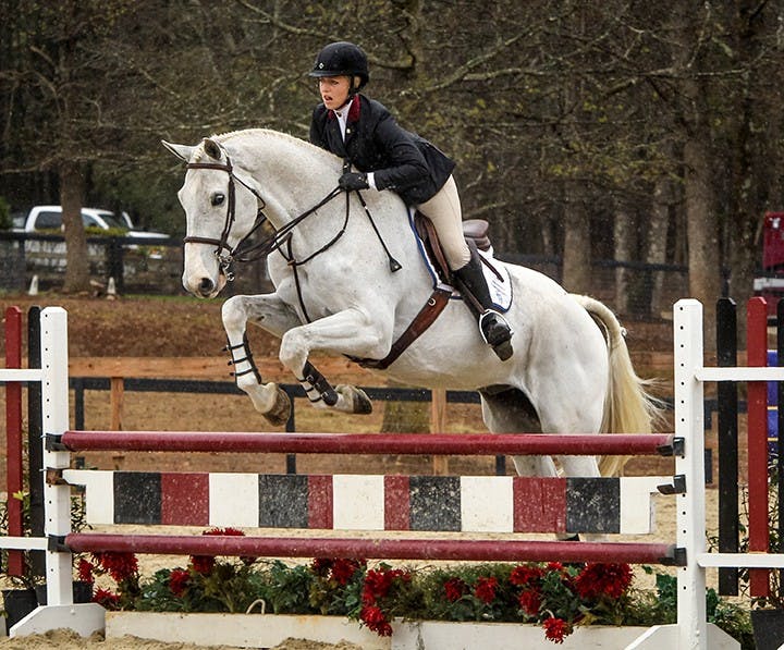 South Carolina&apos;s Samantha Kraus competes on Perfekt during the Equitation Over Fences competition against Texas A&amp;M in Blythewood, S.C., Friday, March 28, 2014. (Tim Dominick/The State/MCT)
