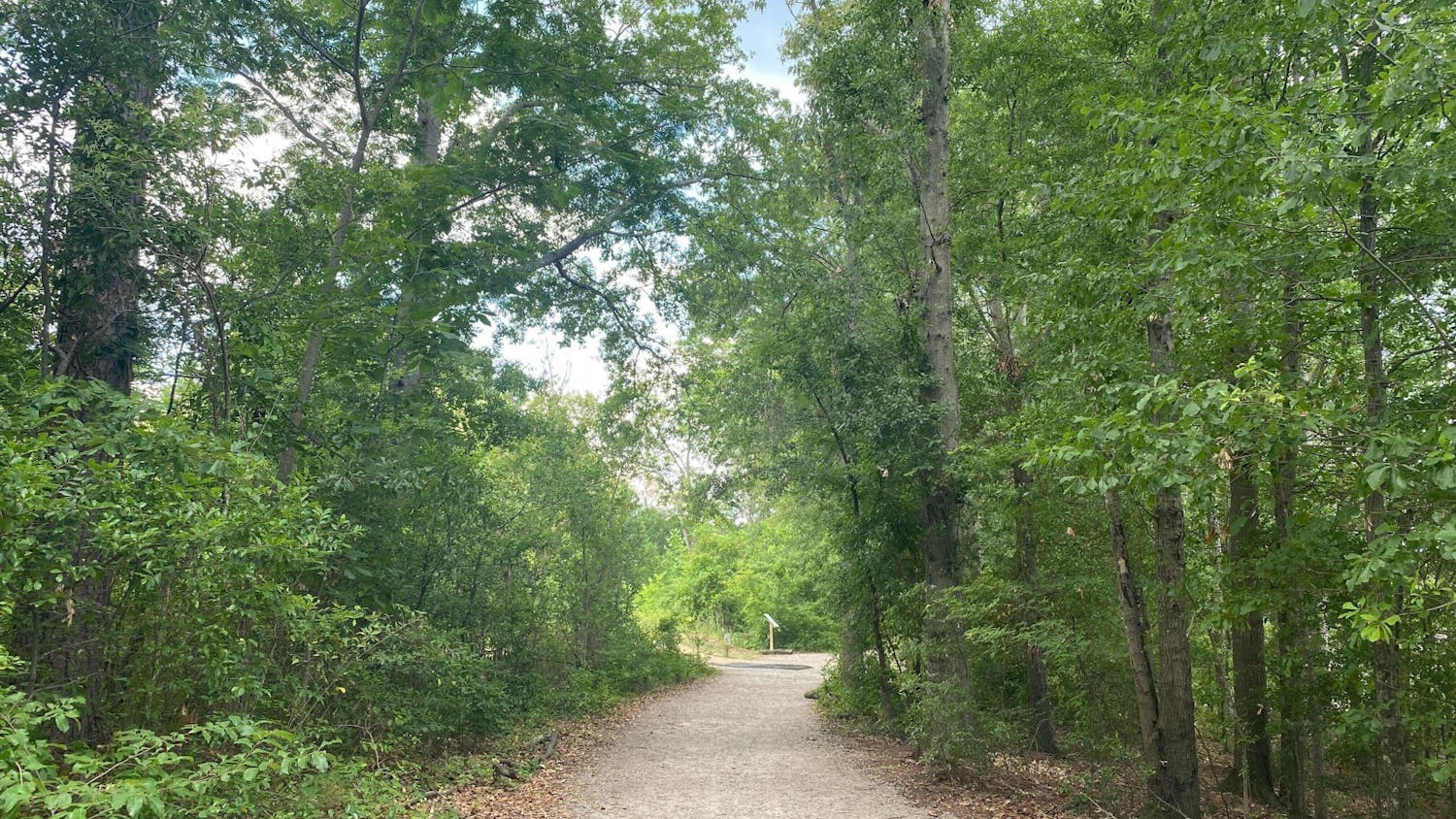 The winding path of the frisbee golf course at Owens Field Track. Owens Field Track offers a public track as well as a dirt path for runners to use.&nbsp;