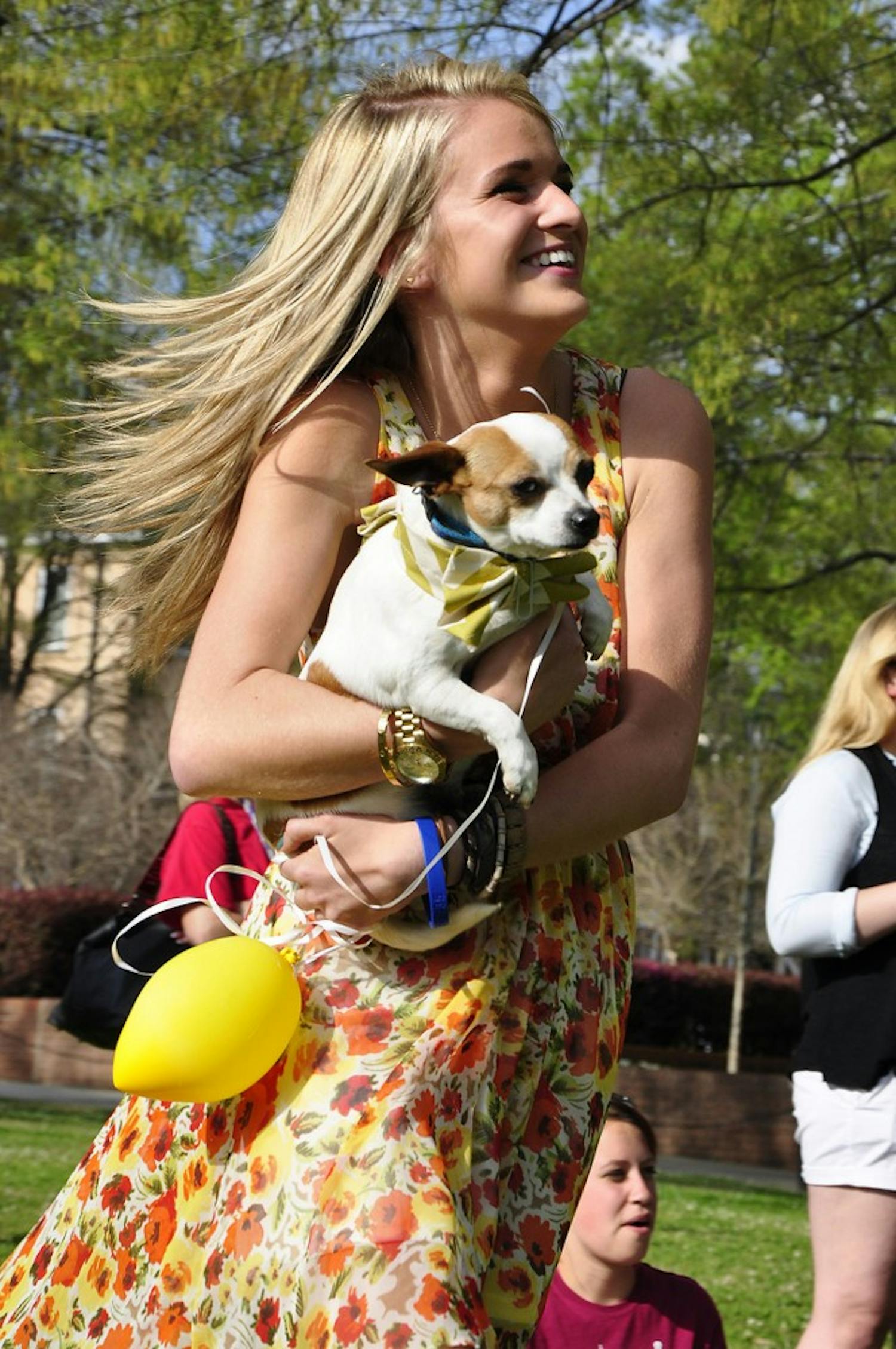 	Fifteen dogs up for adoption walk the runway at the second annual Doggie Fashion Show Monday on Davis Field. Donations from the event went to support the ASPCA.