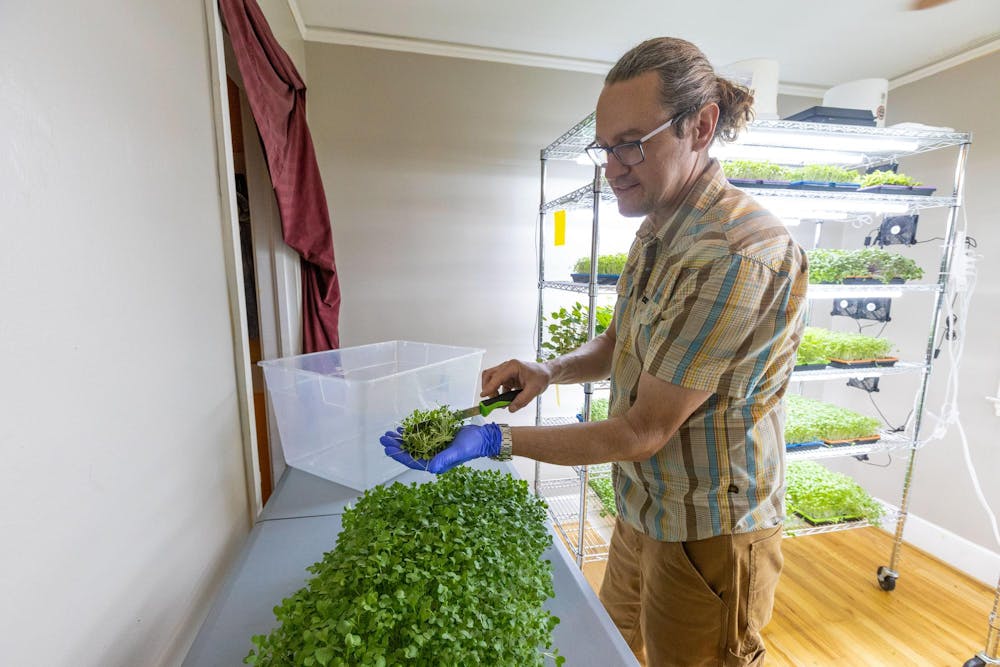 <p>Keith Hearn harvests a rainbow mix that includes blue kale, red cabbage, purple radish and amaranth on March 29, 2024, at Daly Greens farm. Hearn is one of many local farmers who participate in the Soda City Market on Main Street and the Healthy Carolina Farmers Market at USC.</p>