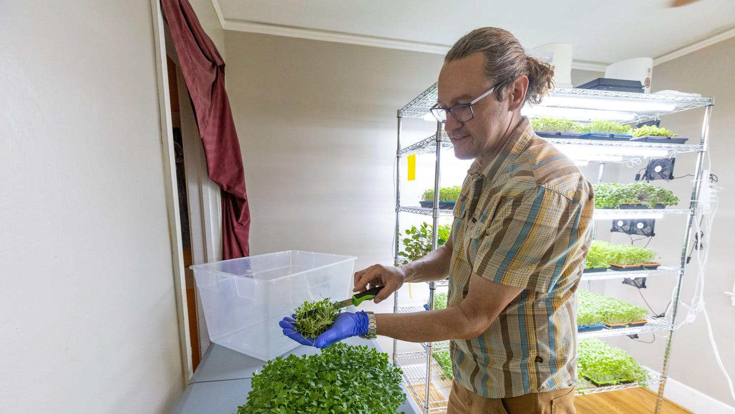 Keith Hearn harvests a rainbow mix that includes blue kale, red cabbage, purple radish and amaranth on March 29, 2024, at Daly Greens farm. Hearn is one of many local farmers who participate in the Soda City Market on Main Street and the Healthy Carolina Farmers Market at .