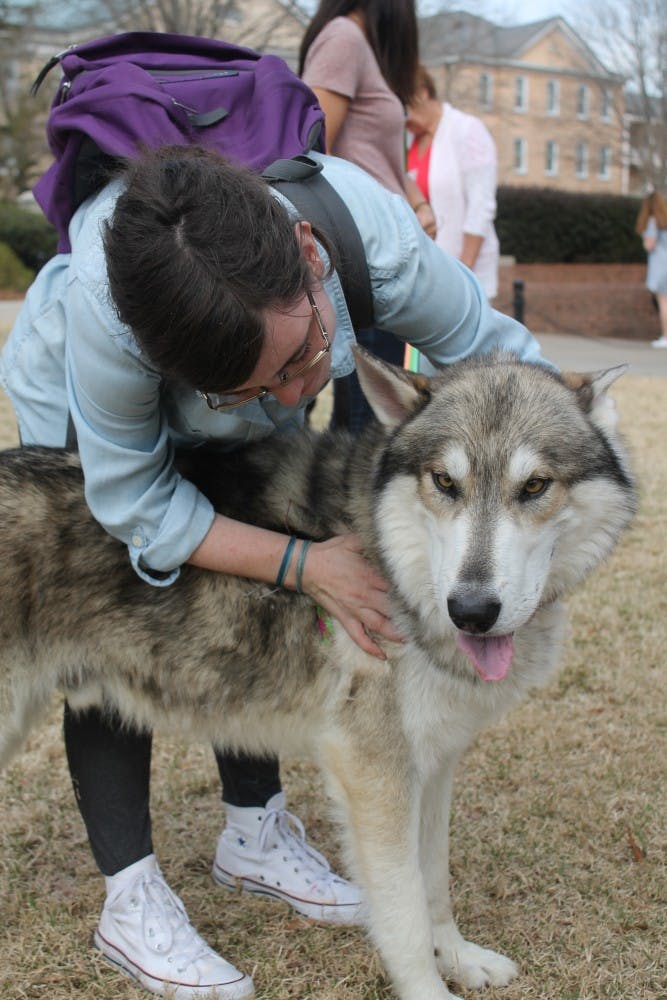 Soda City is Columbia, S.C.'s Main Street market focused on the brain, body, and belly. This event is every Saturday from 9am-1pm year-round, rain or shine. It highlights local businesses, farmers, restraurants, artists, and musicians from around South Carolina. 