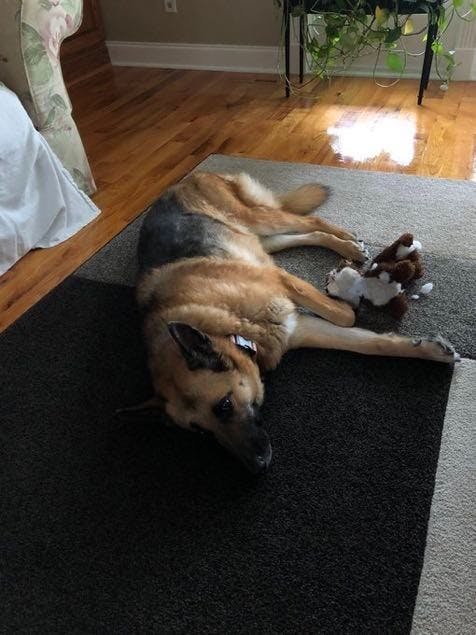 Sugar is from Summerville, South Carolina.