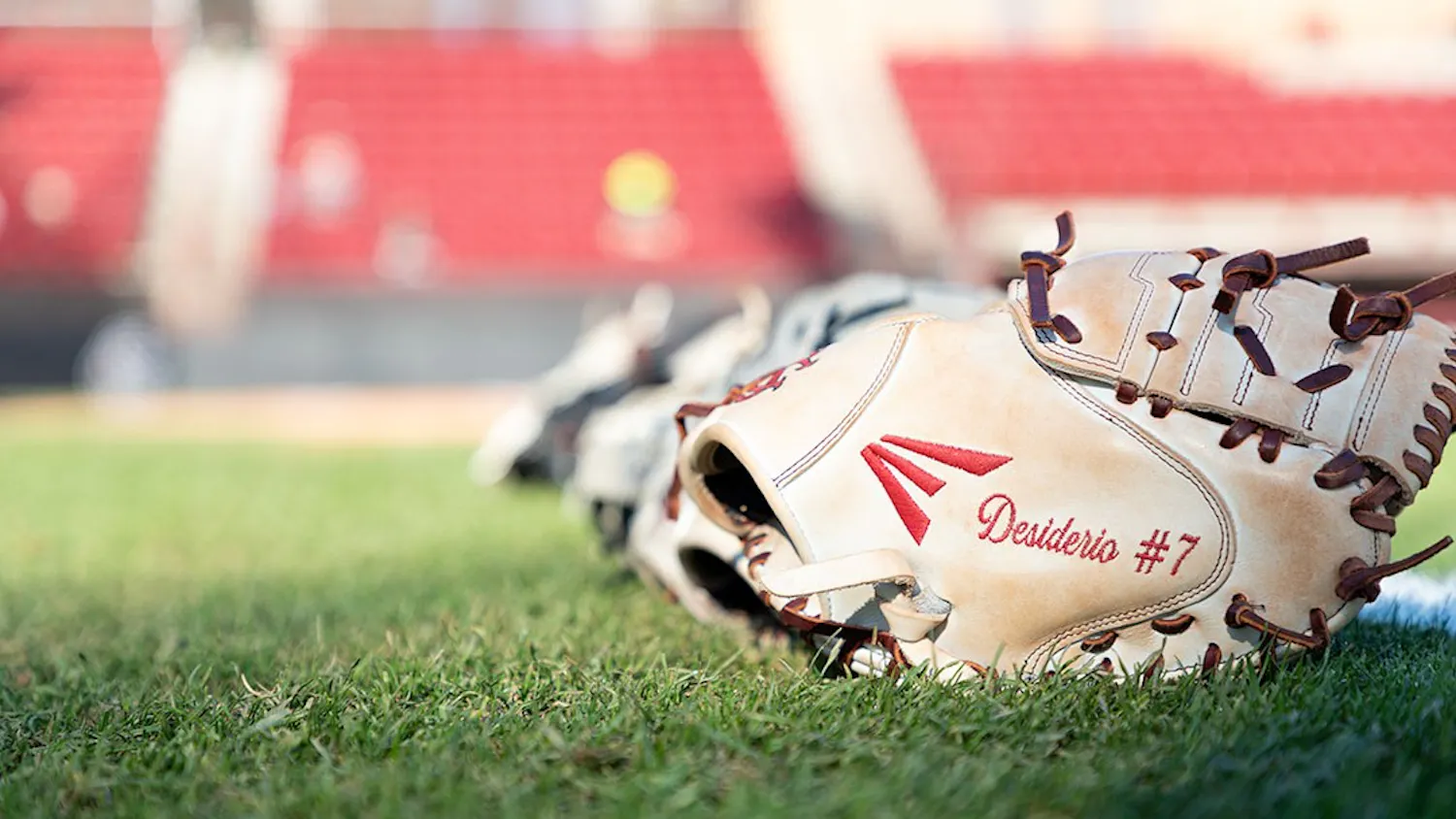 FILE—Freshman catcher Giulia Desiderio's glove on the field of Carolina Softball Stadium prior to taking on Charleston Southern University on March 2, 2022.