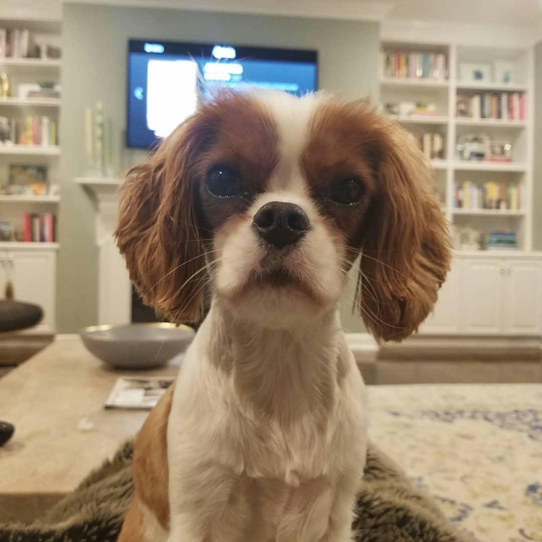 Izzy once found a petrified tater tot in the USC Press offices that must have been at least a year old.