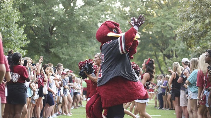 Cocky rallies students during "First Night Carolina" Aug. 21, 2019.
