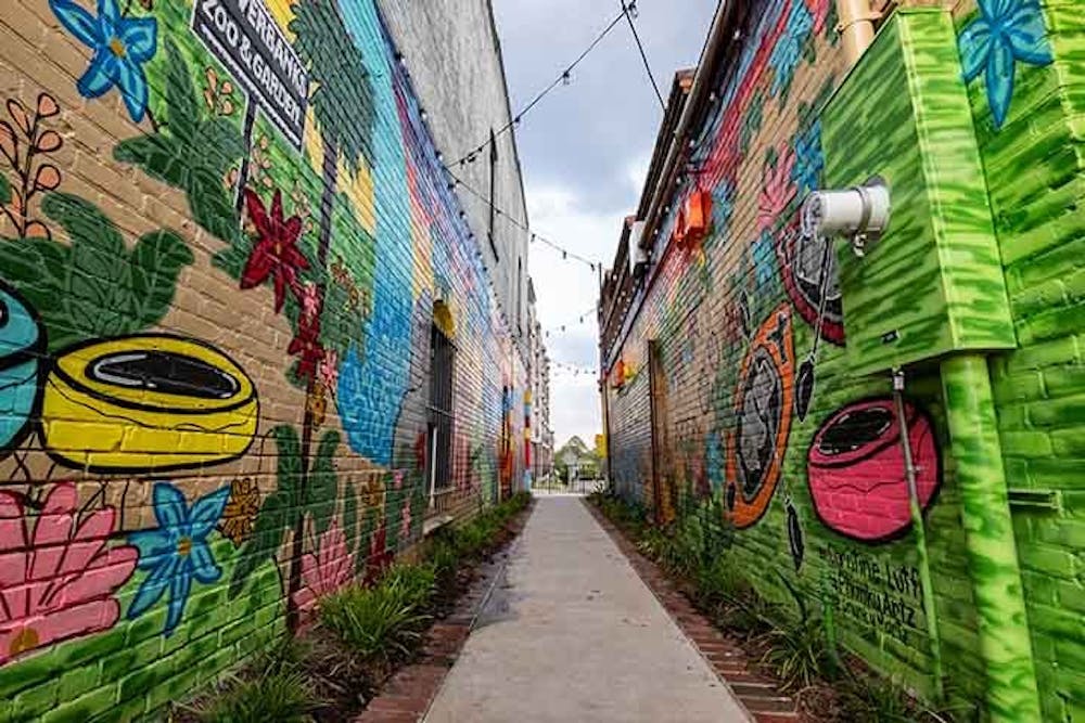 <p>Photo of the Art Alley, which is located on State Street in Columbia, South Carolina.</p>