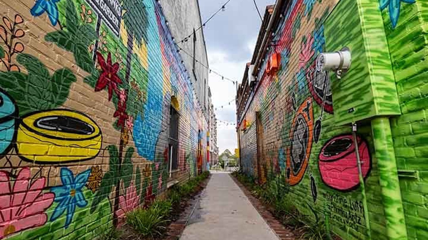 Photo of the Art Alley, which is located on State Street in Columbia, South Carolina.