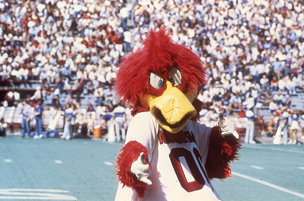 The mascot Cocky on the football field in the 1980s.