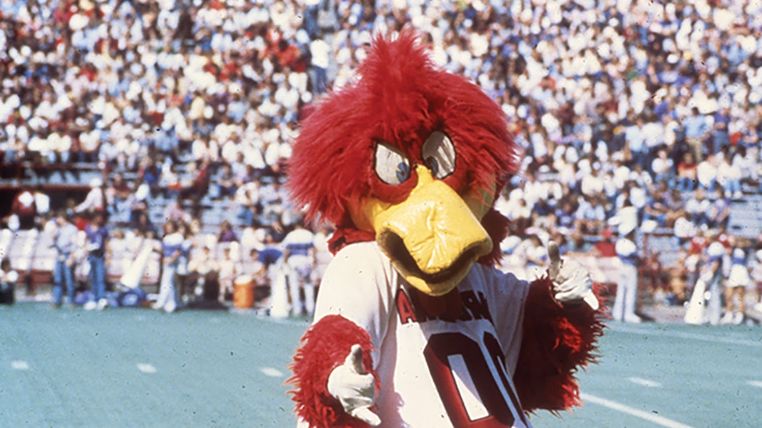 The mascot Cocky on the football field in the 1980s.
