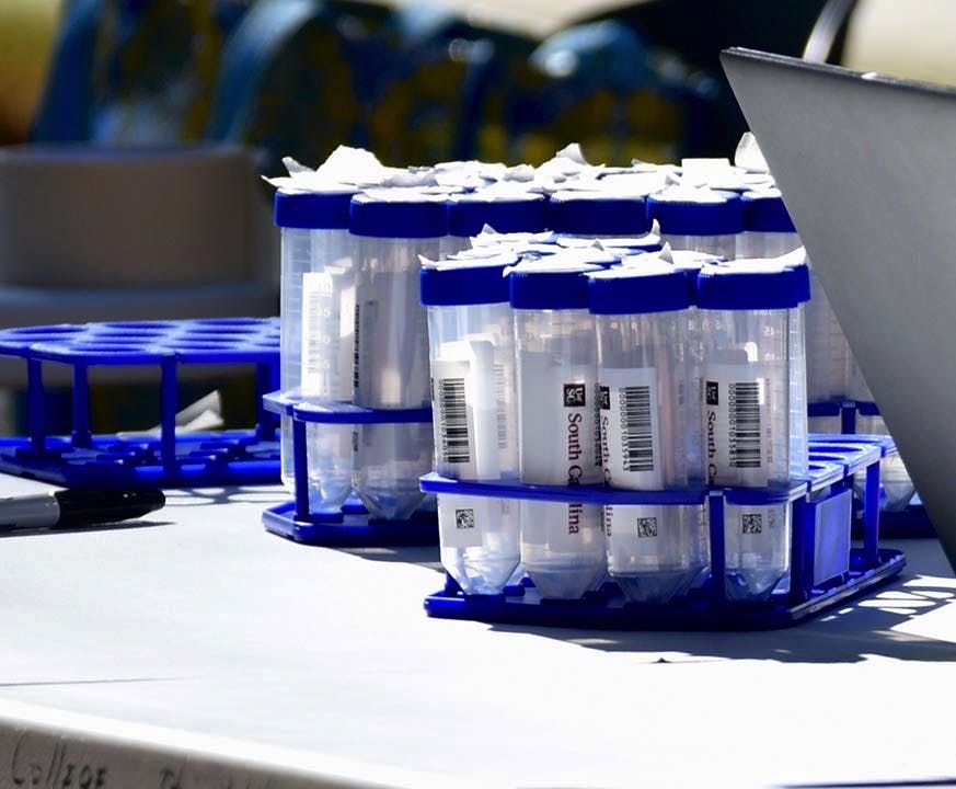 A row of COVID-19 saliva test vials ready to be assigned to students getting tested.