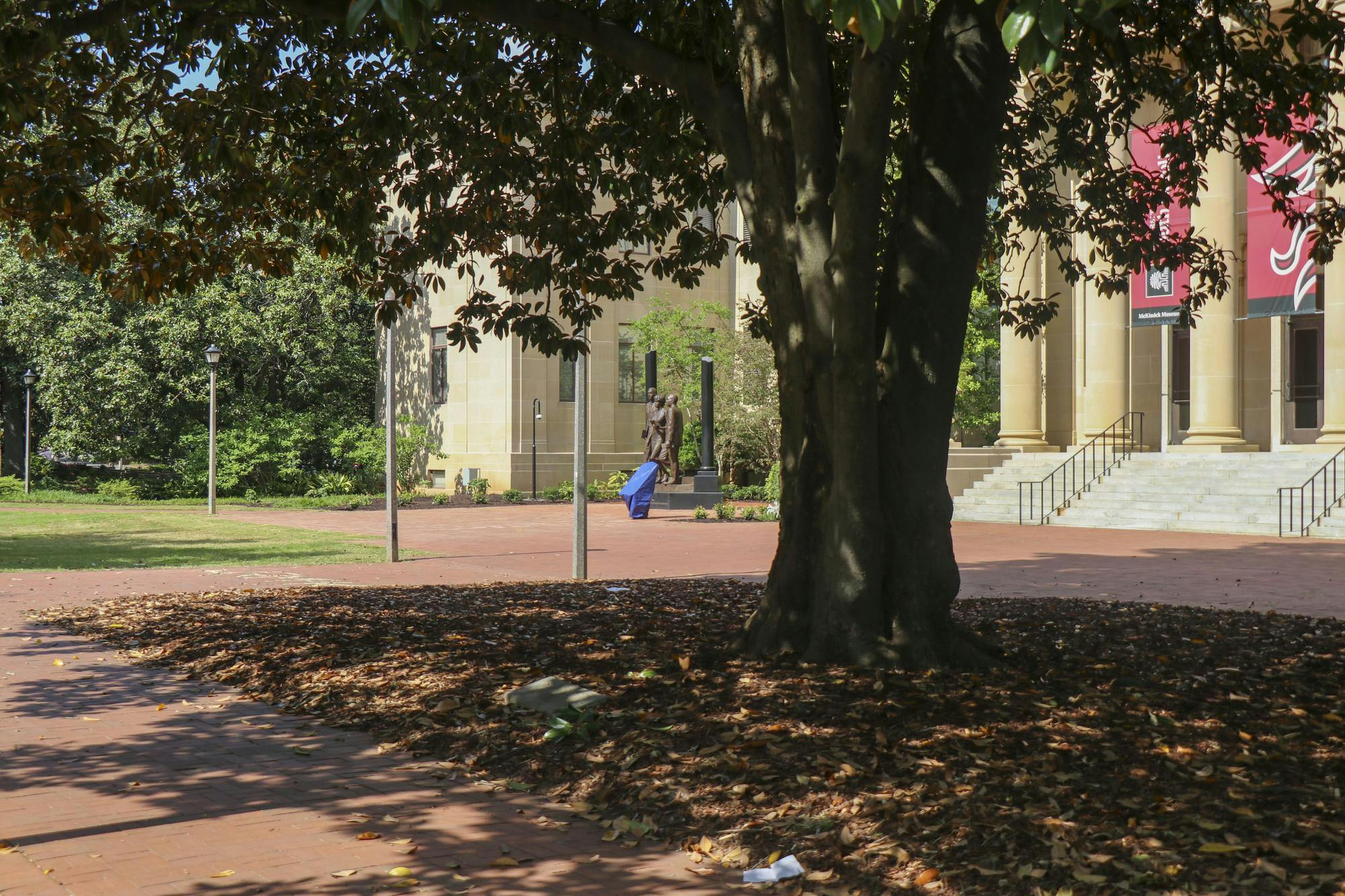 Column: Columbia doesn’t have a heat problem, it has a tree problem ...