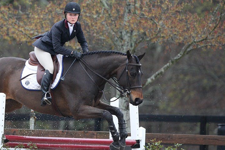 South Carolina&apos;s Amber Henter competes in Equitation Over Fences during the SEC Equestrian championships against Georgia at One Wood Farm in Blythewood, S.C., Saturday, March 29, 2014. (C Michael Bergen/The State/MCT)