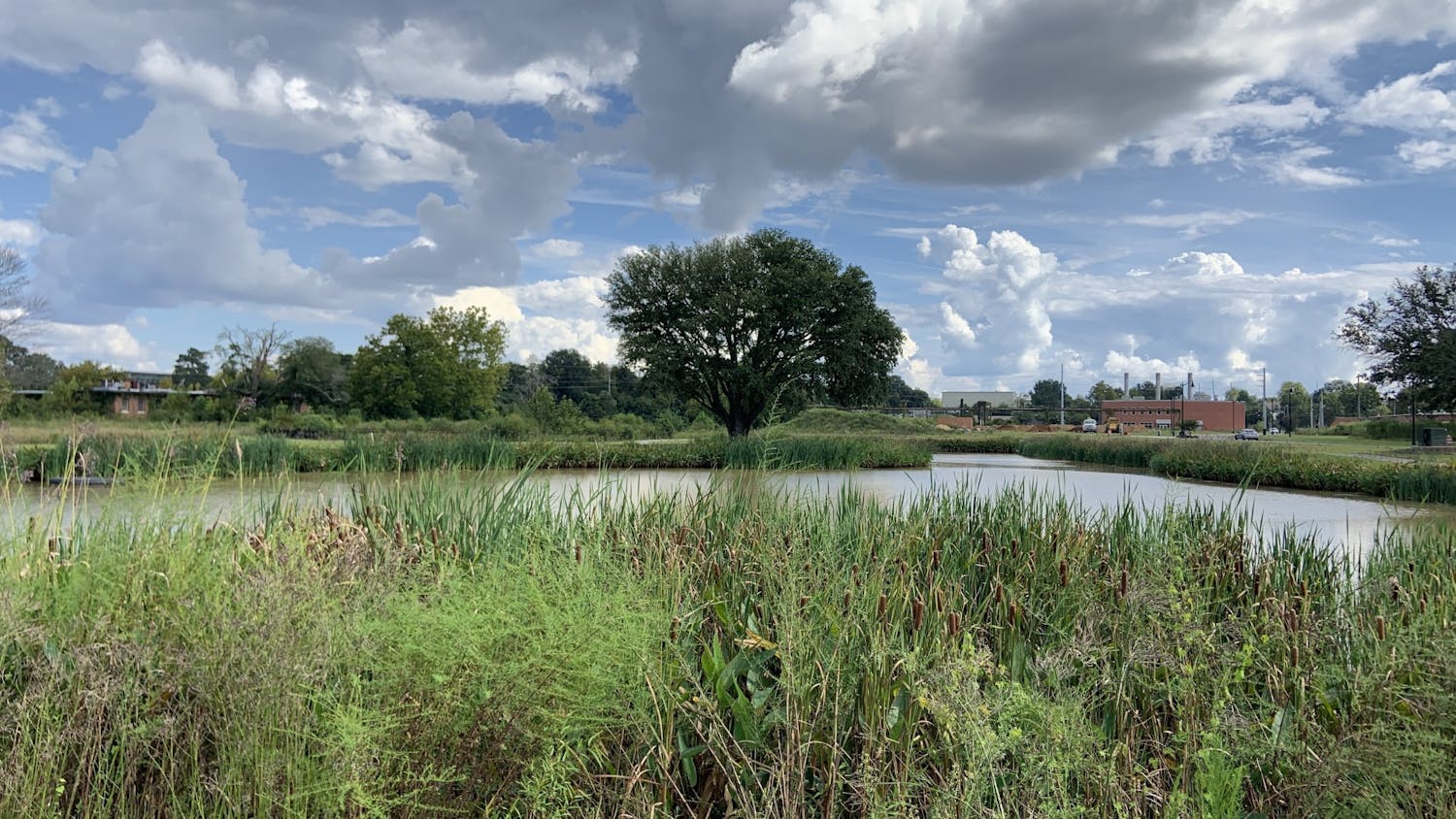 Page Ellington Park located in BullStreet District. This green space features a dog park, an innovative water system and a walking path. 