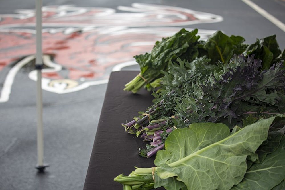 Vendors and campus organizations such as Sustainable Carolina promote sustainable permaculture by selling seasonal produce, such as kale, grown in the garden behind Green Quad.