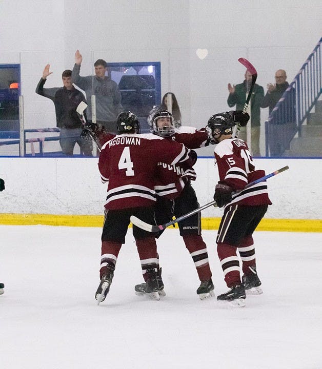 South Carolina club hockey players celebrate a goal.&nbsp;