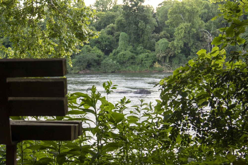 <p>A view from behind a bench off of the Congaree River on June 9, 2024. The Congaree River is 50 miles long but branches into many different rivers.</p>