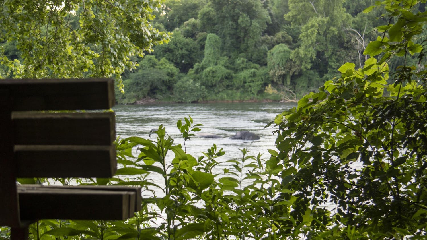 A view from behind a bench off of the Congaree River on June 9, 2024. The Congaree River is 50 miles long but branches into many different rivers.