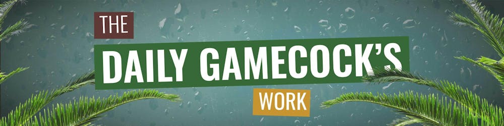 dailygamecockswork-banner