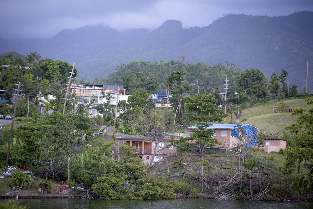Trees remained damaged and destroyed on the edge of a lake and blue FEMA tarps covered rooftops more than seven months after Hurricane Maria, Wednesday, April 18, 2018 in Villalba, Puerto Rico. (Elizabeth Flores/Minneapolis Star Tribune/TNS)
