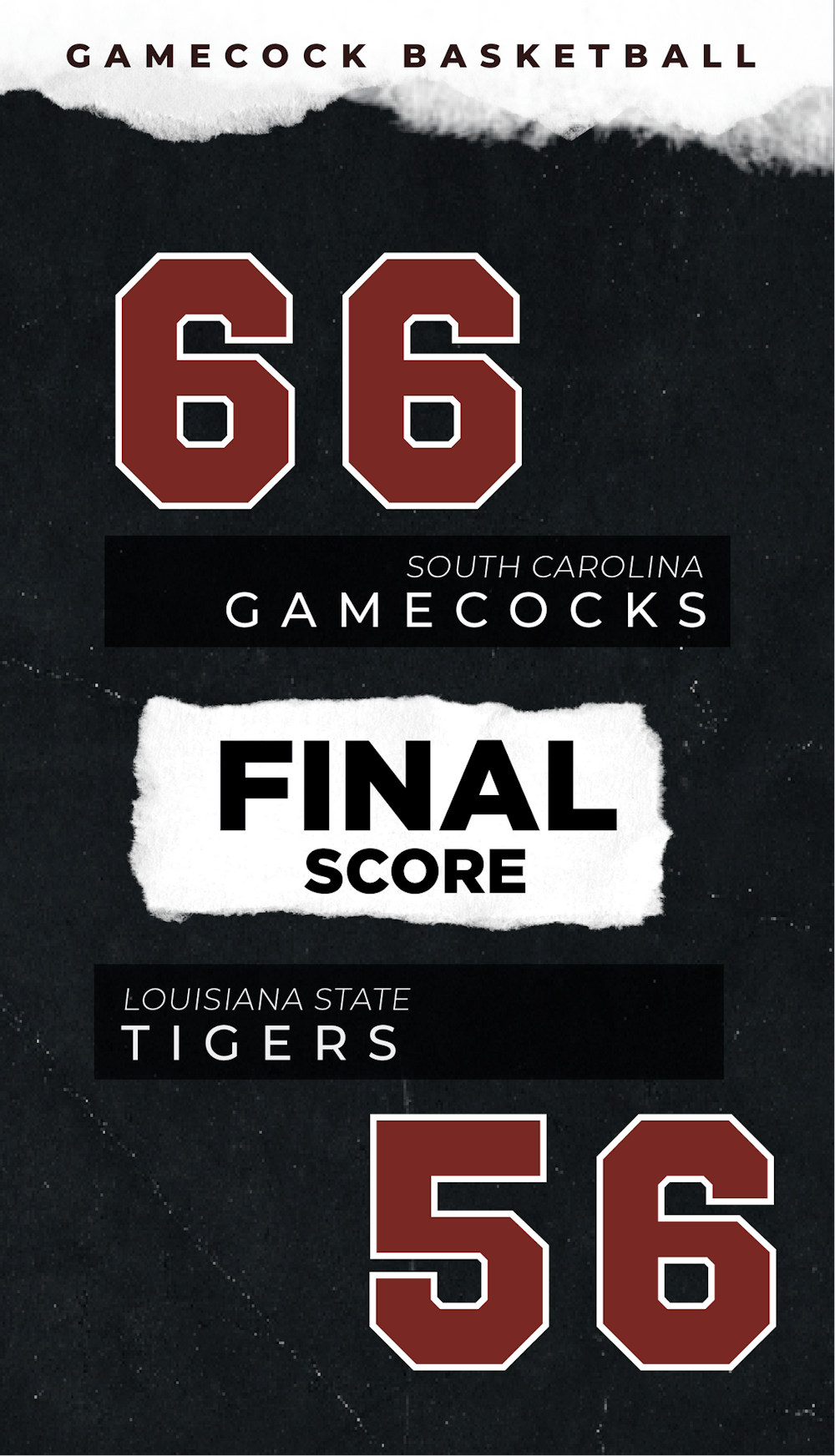 wbbvslsu-fsg