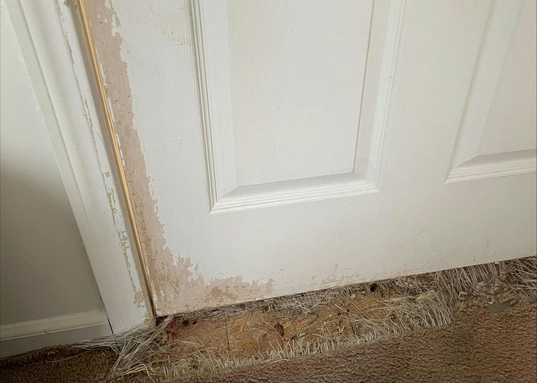 Closeup of damaged door and carpet at a tenant's apartment in the Rowan.