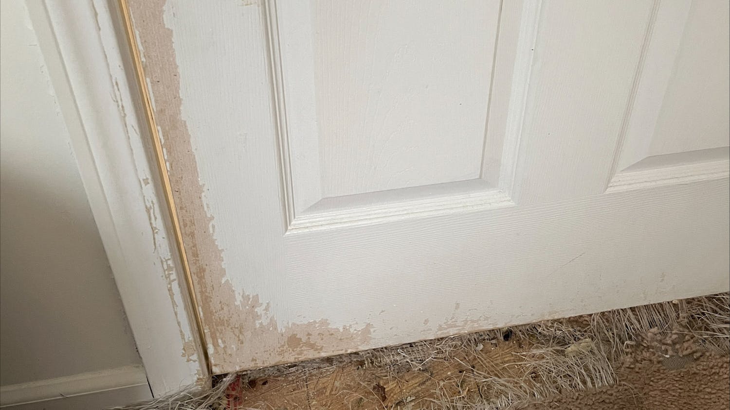 Closeup of damaged door and carpet at a tenant's apartment in the Rowan.