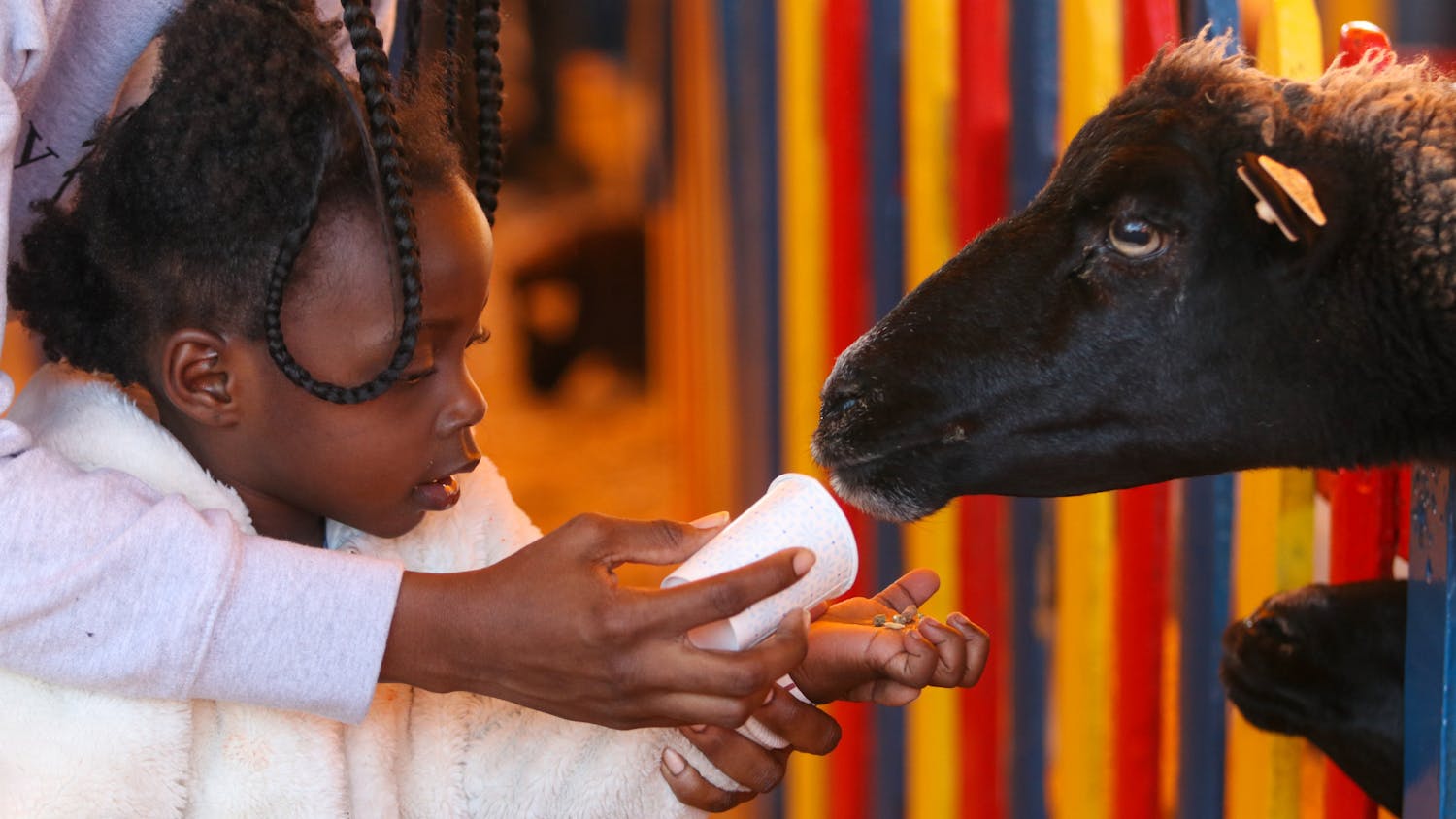 The little girl, Kali, is guided by her mother, Baray, in feeding the animals beyond the fence at the South Carolina State Fair petting zoo on Oct. 18, 2022. The petting zoo provides animals like goats and camels for fair attendees to feed and interact with.&nbsp;