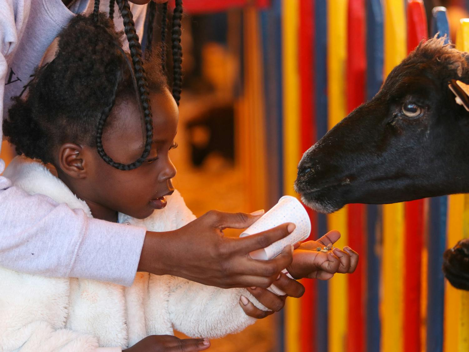 The little girl, Kali, is guided by her mother, Baray, in feeding the animals beyond the fence at the South Carolina State Fair petting zoo on Oct. 18, 2022. The petting zoo provides animals like goats and camels for fair attendees to feed and interact with.&nbsp;
