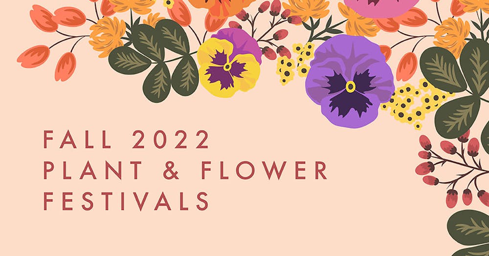 Preview graphic for the Fall 2022 Plant & Flower Festival.