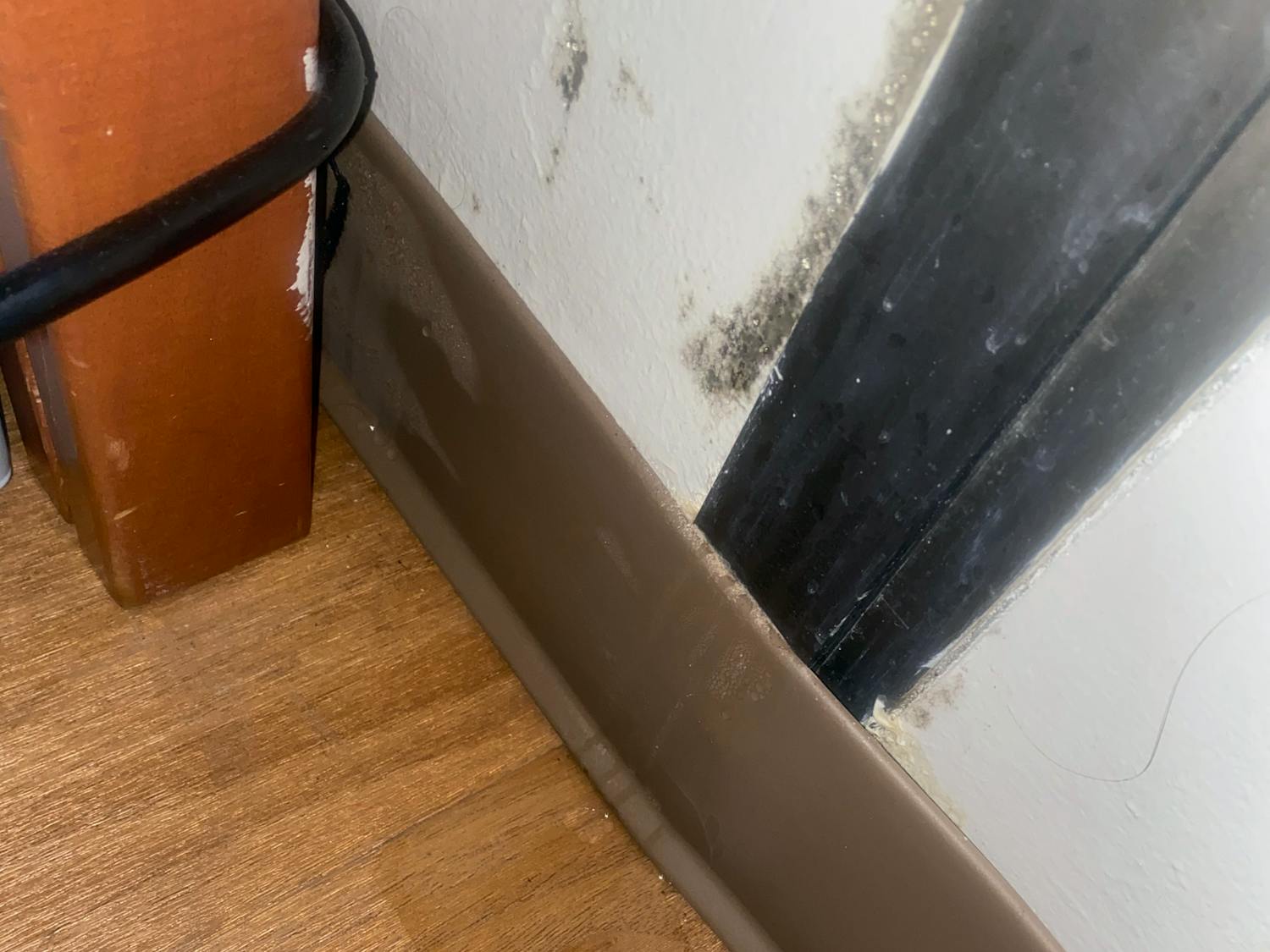 Mold along the walls of a dorm room in Capstone House in January 2021. Fourth-year public health student Kendall Guthrie found the mold when returning to campus after winter break.