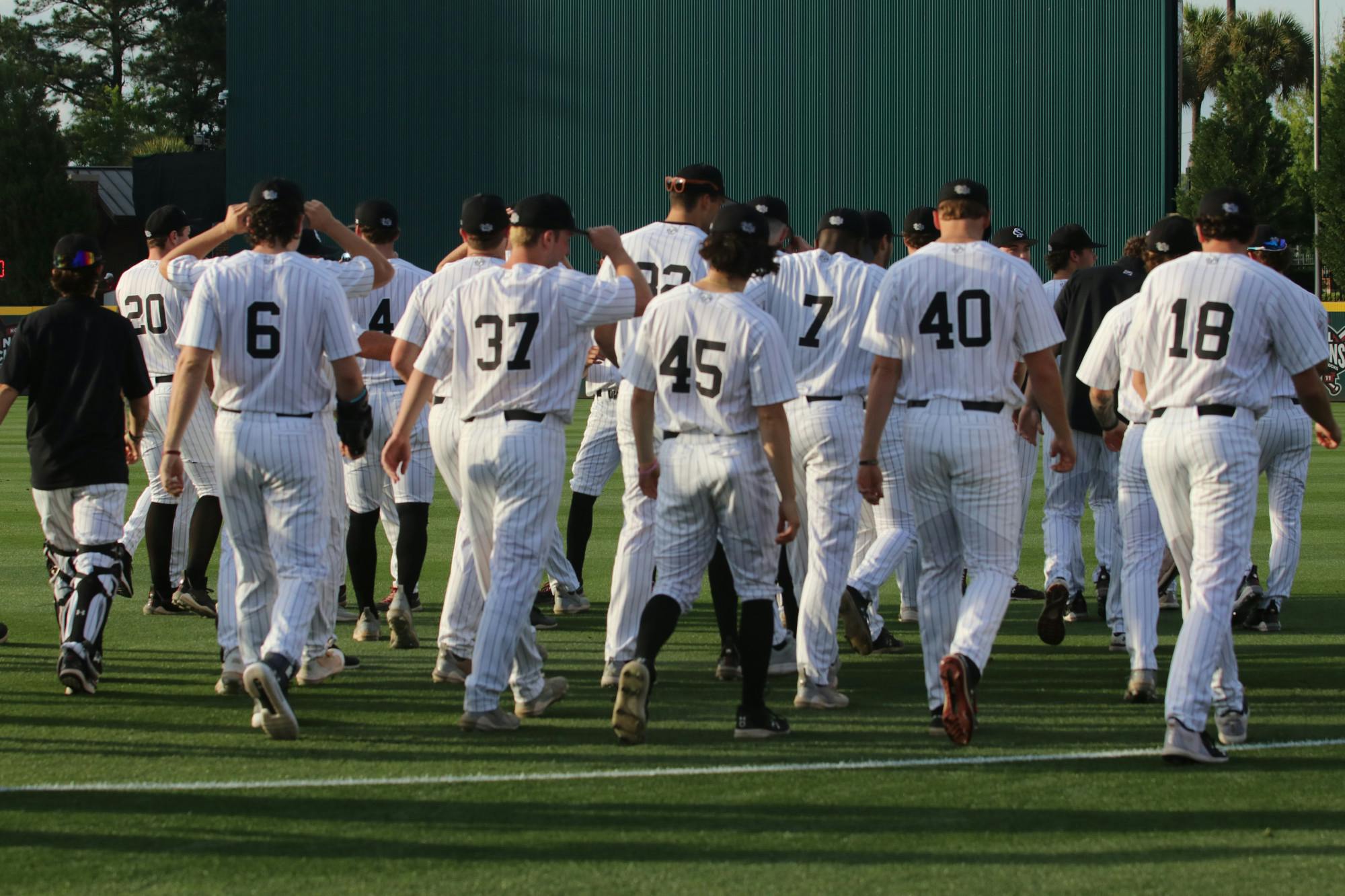 The South Carolina baseball team walks onto the field at Founders Park before facing Florida. The Gamecocks secured the series with its win on April 21, 2023.