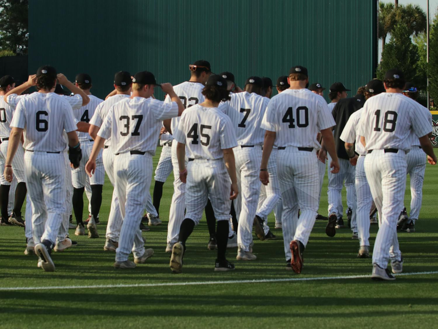 The South Carolina baseball team walks onto the field at Founders Park before facing Florida. The Gamecocks secured the series with its win on April 21, 2023.