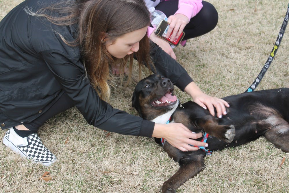 Soda City is Columbia, S.C.'s Main Street market focused on the brain, body, and belly. This event is every Saturday from 9am-1pm year-round, rain or shine. It highlights local businesses, farmers, restraurants, artists, and musicians from around South Carolina. 