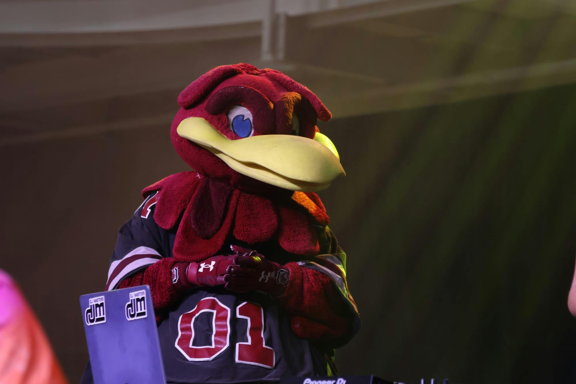 The University of South Carolina Mascot Cocky makes an appearance at Dance Marathon on Feb. 22, 2025.