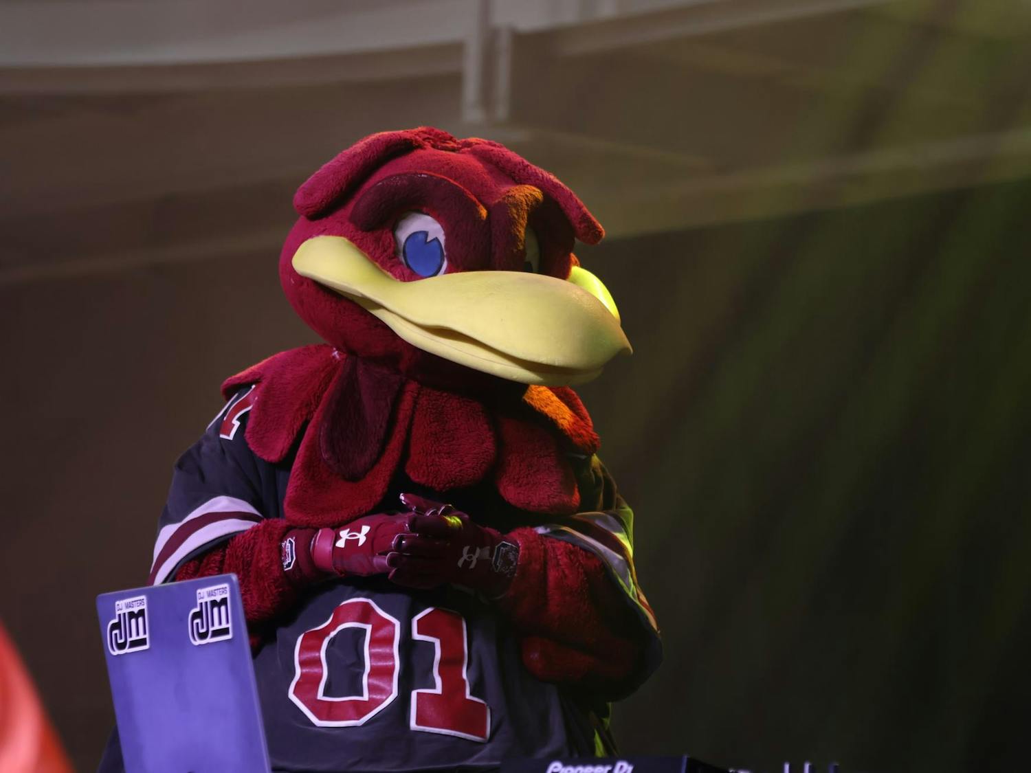 The University of South Carolina Mascot Cocky makes an appearance at Dance Marathon on Feb. 22, 2025.
