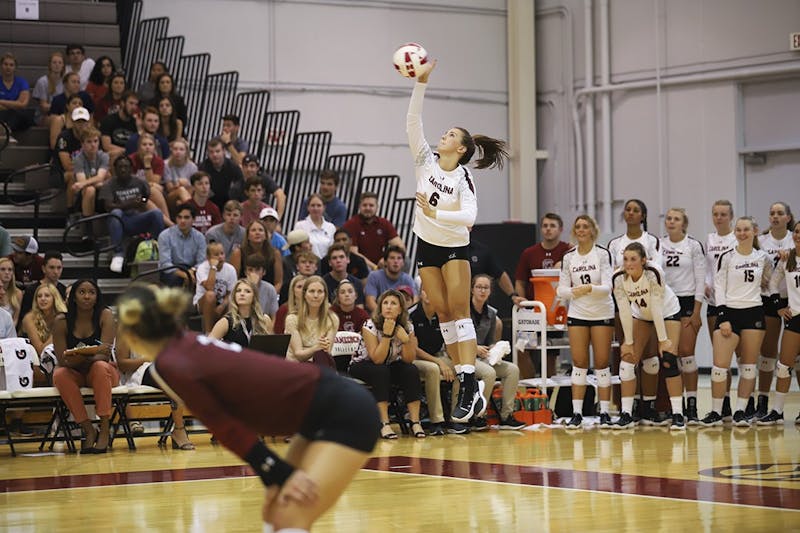 South Carolina volleyball announces fall schedule The Daily Gamecock