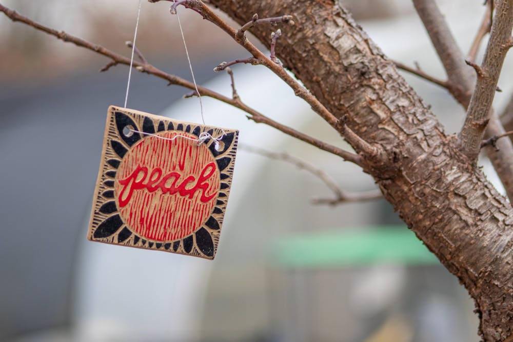 A tree marker hangs from a peach tree in the Sustainable Carolina Garden on Feb. 8, 2022. The garden has been growing at the University of South Carolina since 2007.