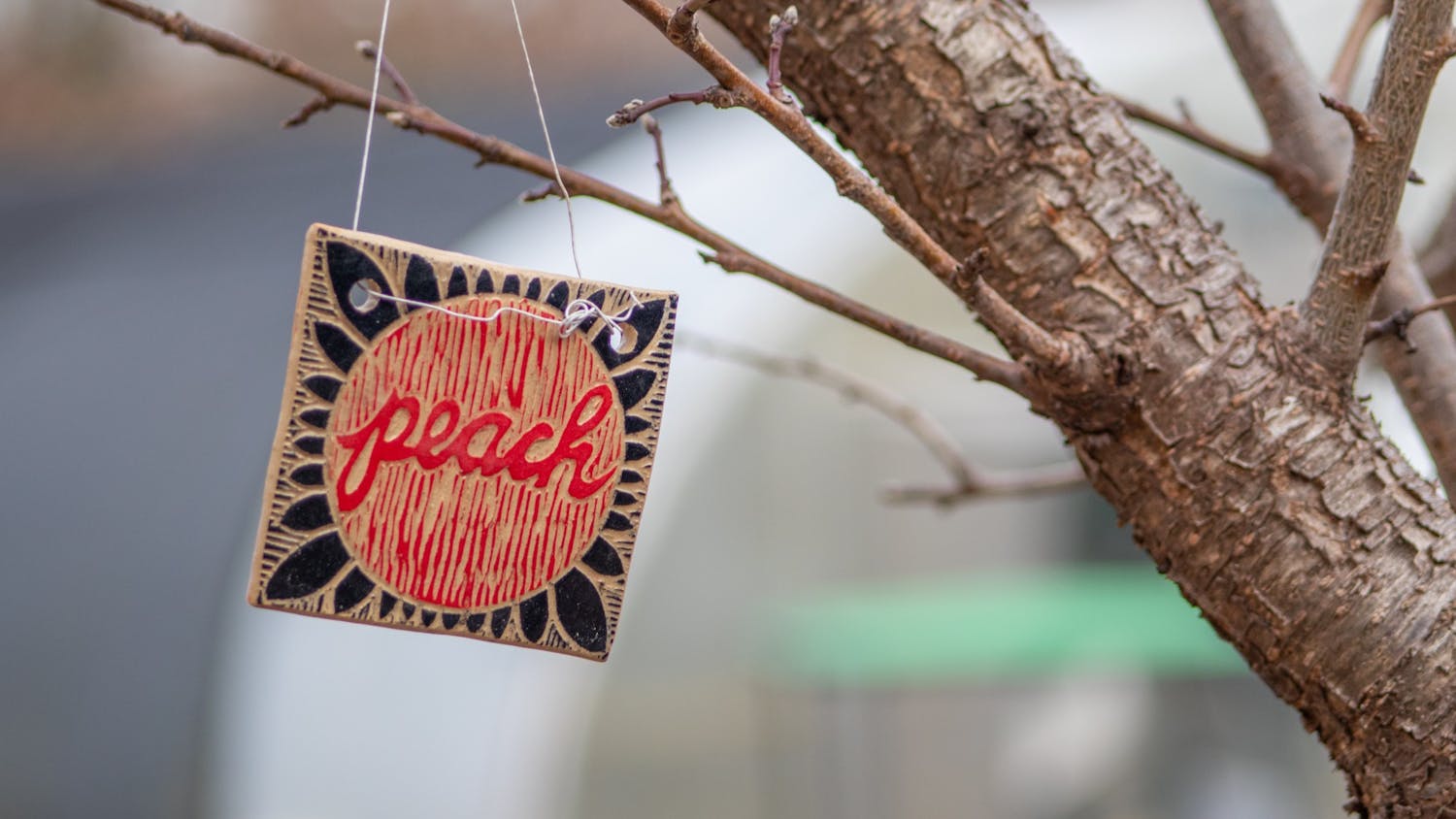 A tree marker hangs from a peach tree in the Sustainable Carolina Garden on Feb. 8, 2022. The garden has been growing at the University of South Carolina since 2007.