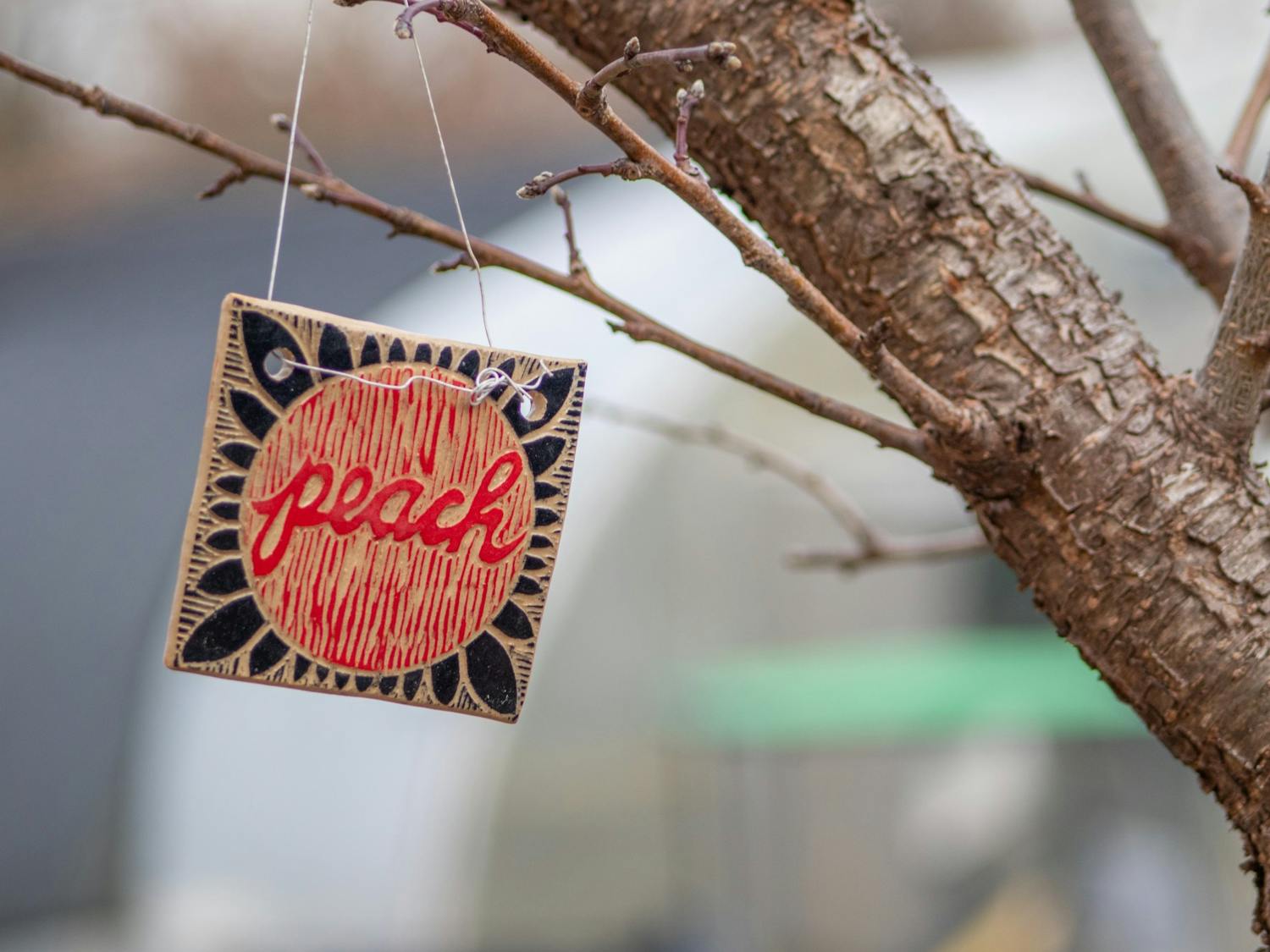 A tree marker hangs from a peach tree in the Sustainable Carolina Garden on Feb. 8, 2022. The garden has been growing at the University of South Carolina since 2007.